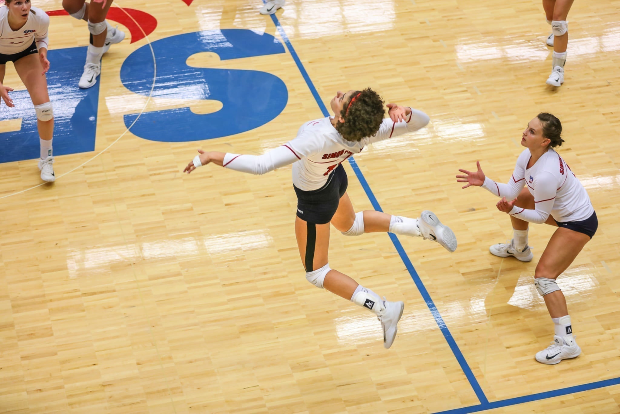 The Science of Longevity: Life Expectancy in Sport, Building Muscle as You Age, and HMB for Masters Atheltes