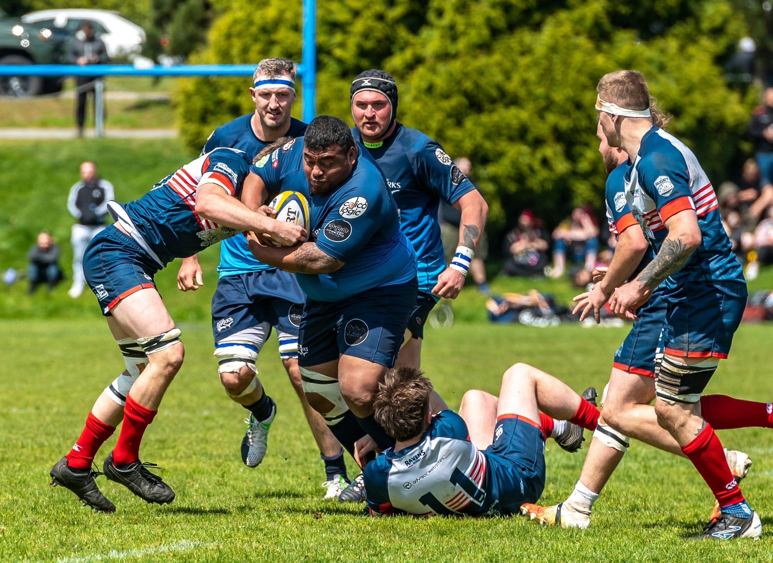 Blonyx Named BC Rugby's Official Sports Nutrition Partner – Blonyx Canada