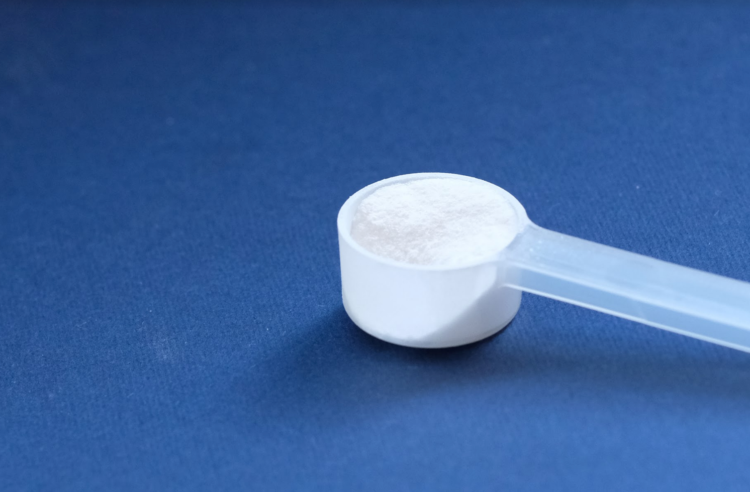 A scoop of creatine on a blue background