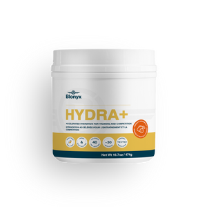 Hydra+ - Mango & Passionfruit