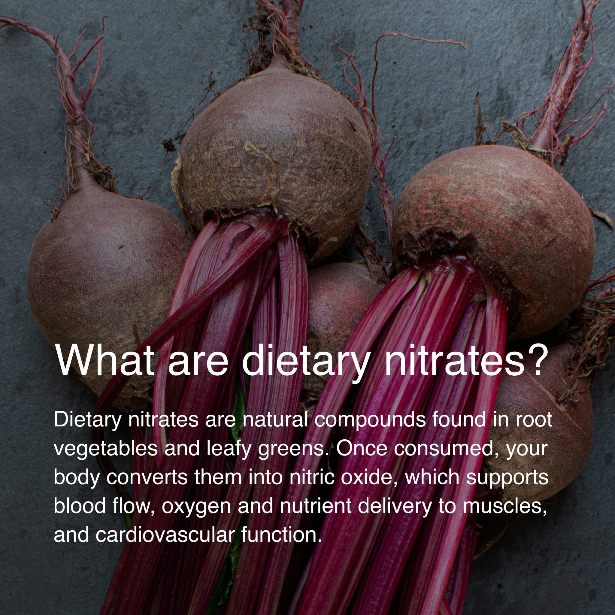 Fresh beets with educational graphic explaining dietary nitrates, nitric oxide production, blood flow, and endurance performance benefits.