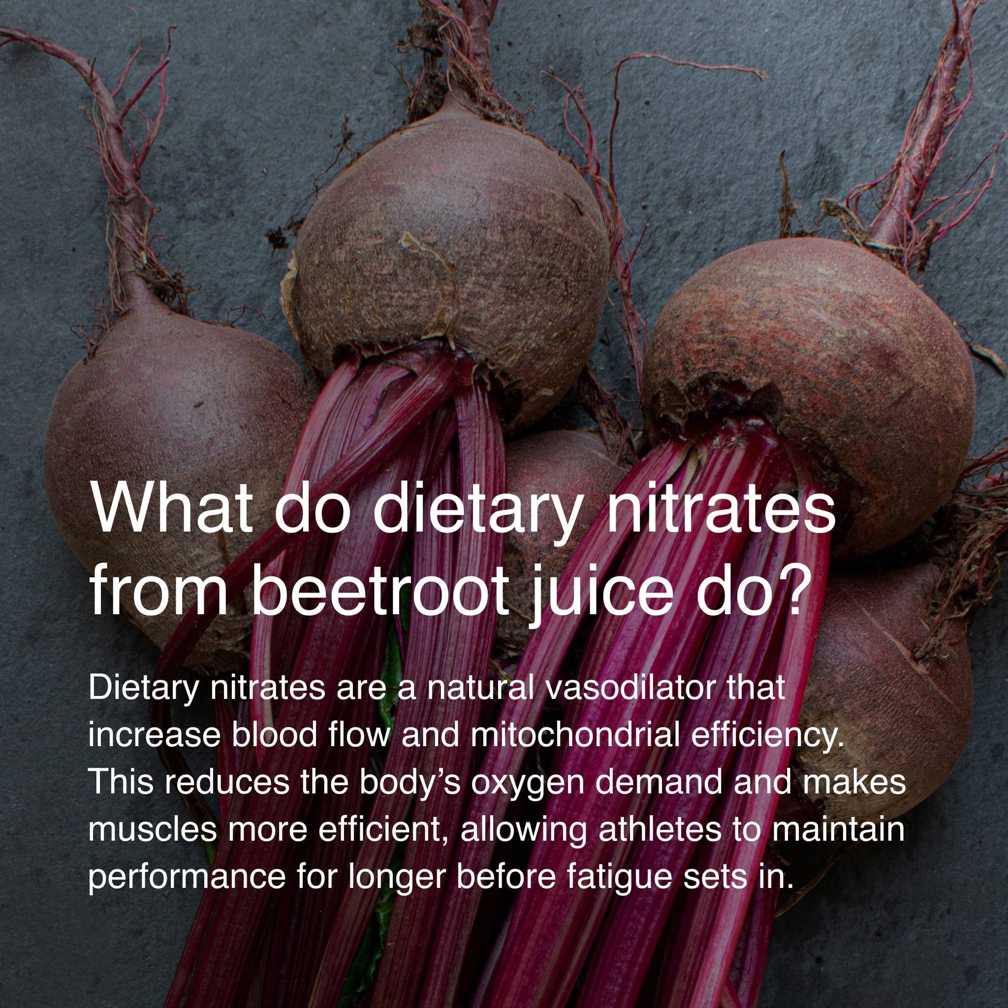 Fresh beets with educational text explaining dietary nitrates and what they do, including increase blood flow and mitochondrial efficiency, and endurance performance benefits.