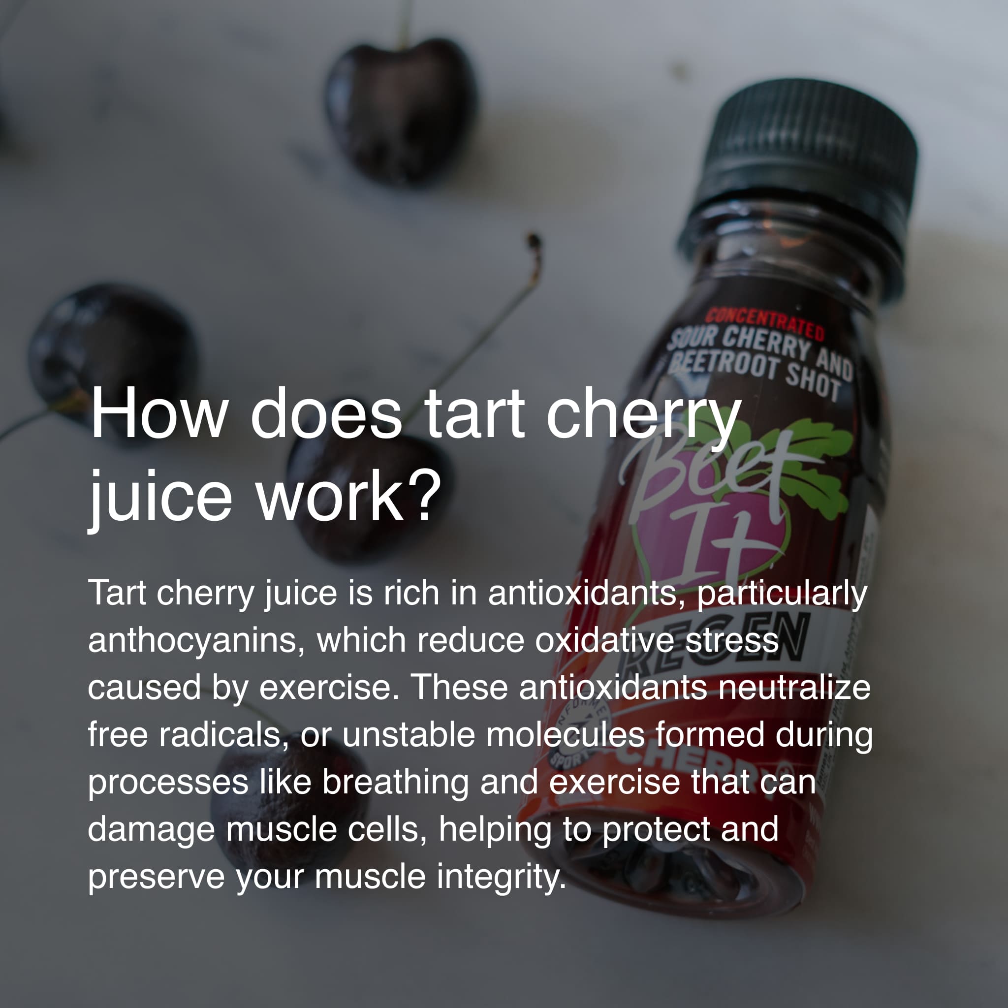 Beet It Regen Cherry+ tart cherry and beetroot recovery shot with tart cherries illustrating antioxidant support for exercise recovery and muscle protection.