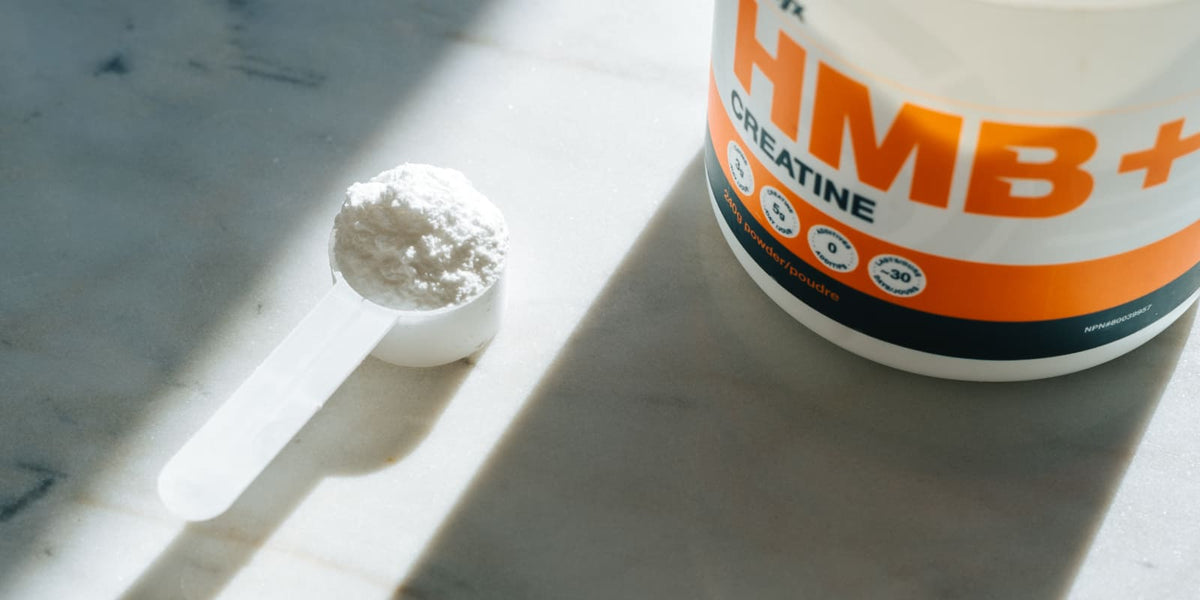 A close-up of a white scoop filled with white creatine powder next to a white tub labeled HMB+ Creatine, set on a marble surface with strong natural sunlight and shadows.